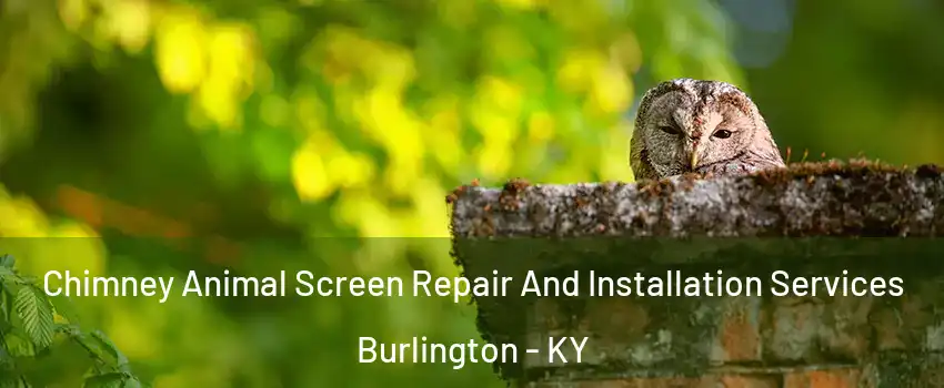  Chimney Animal Screen Repair And Installation Services Burlington - KY
