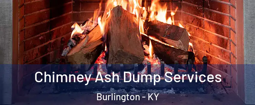  Chimney Ash Dump Services Burlington - KY