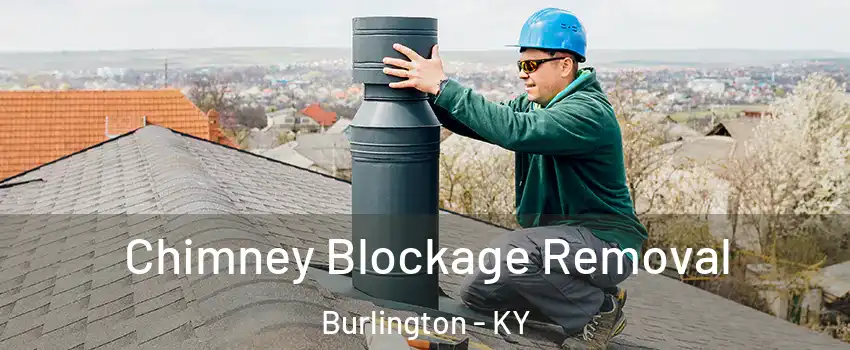  Chimney Blockage Removal Burlington - KY