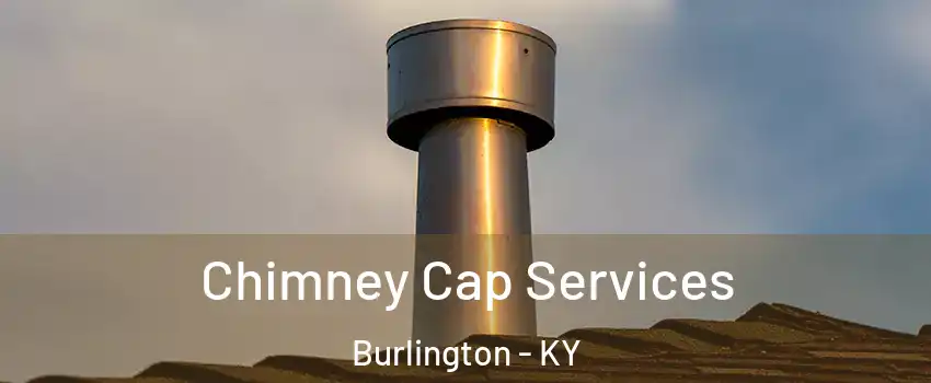  Chimney Cap Services Burlington - KY