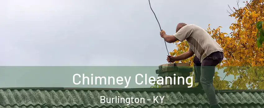  Chimney Cleaning Burlington - KY