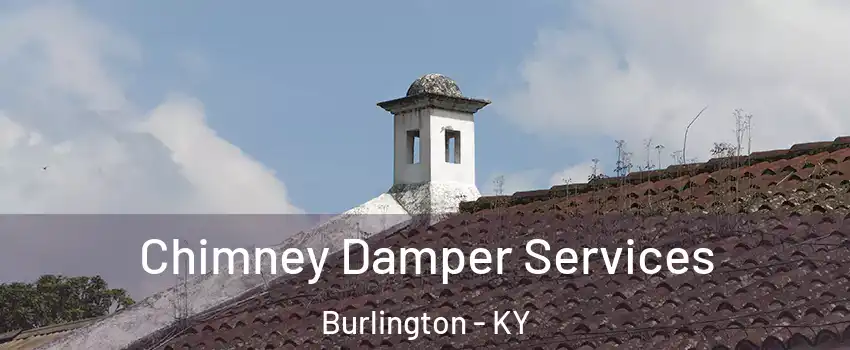  Chimney Damper Services Burlington - KY