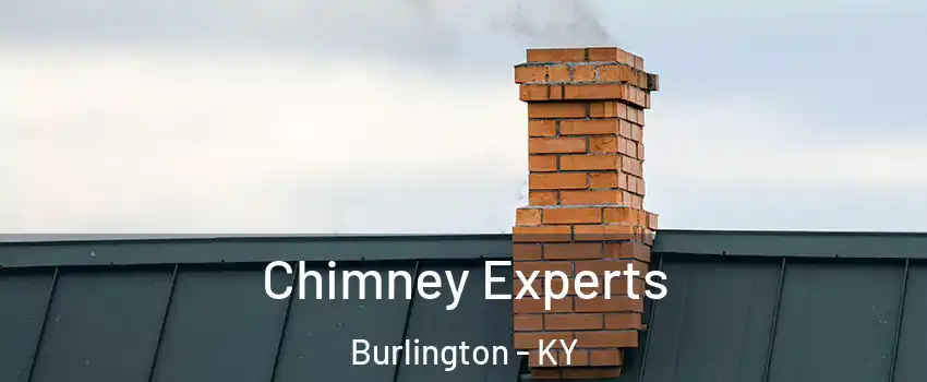  Chimney Experts Burlington - KY