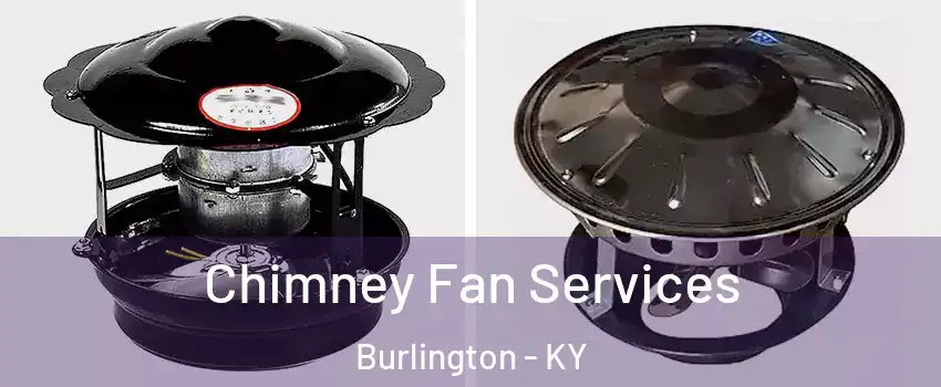  Chimney Fan Services Burlington - KY