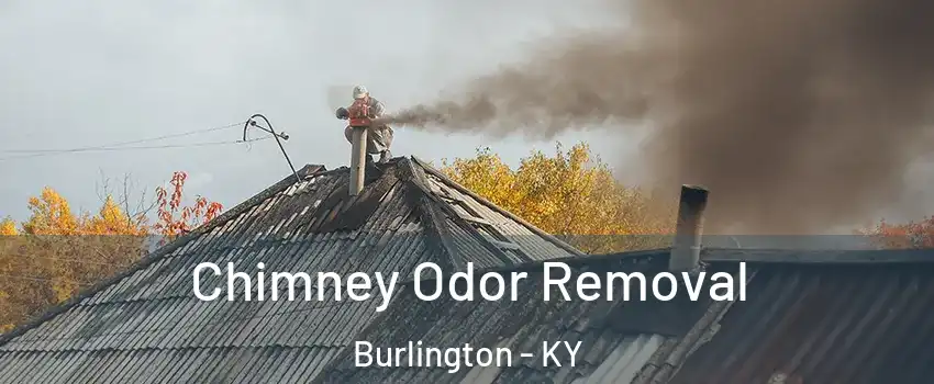  Chimney Odor Removal Burlington - KY