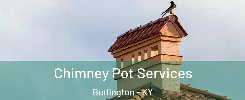  Chimney Pot Services Burlington - KY