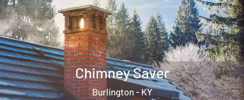 Chimney Saver Burlington - KY