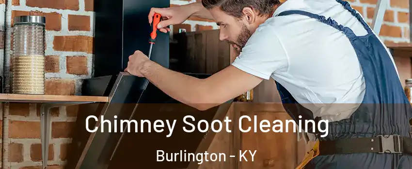  Chimney Soot Cleaning Burlington - KY