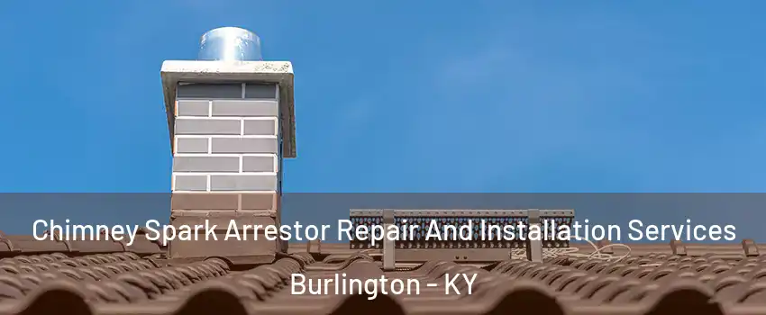  Chimney Spark Arrestor Repair And Installation Services Burlington - KY