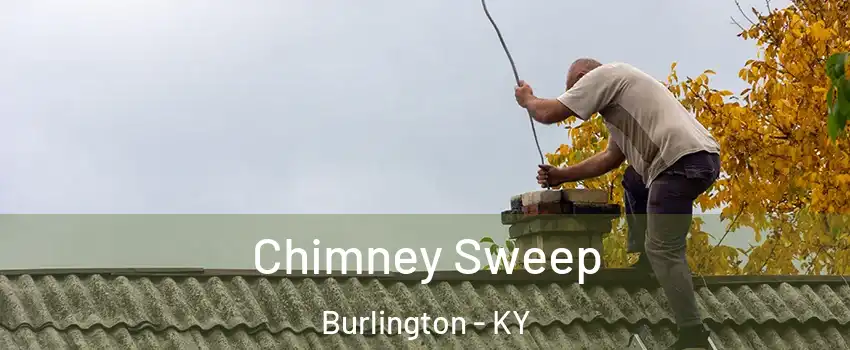  Chimney Sweep Burlington - KY
