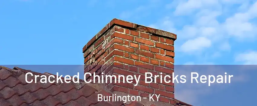  Cracked Chimney Bricks Repair Burlington - KY