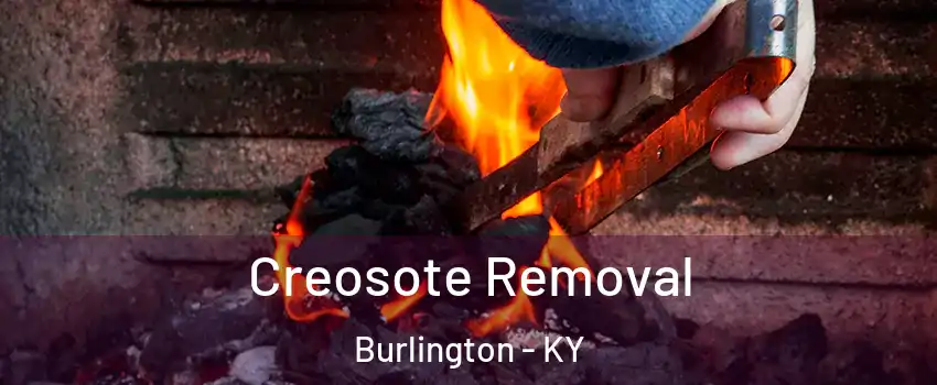  Creosote Removal Burlington - KY