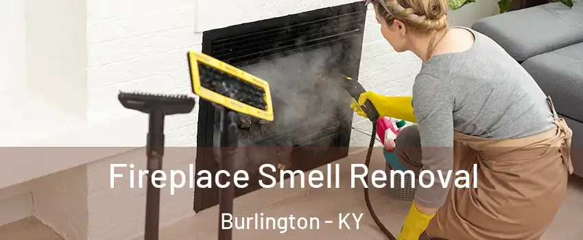  Fireplace Smell Removal Burlington - KY