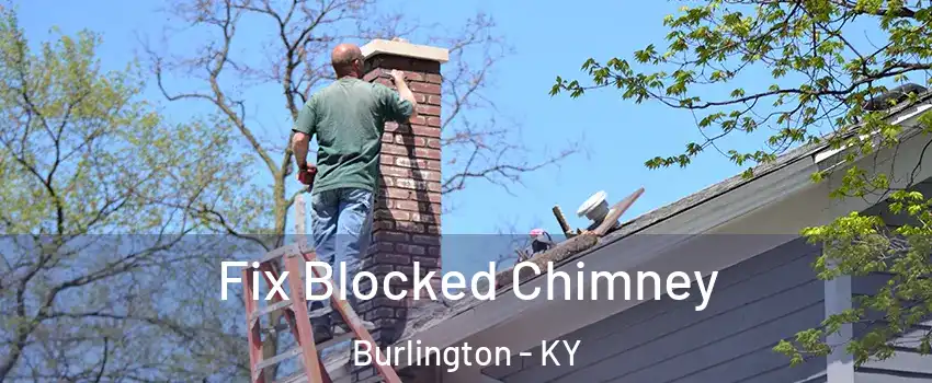  Fix Blocked Chimney Burlington - KY