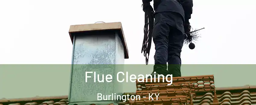 Flue Cleaning Burlington - KY