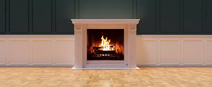 Napoleon Electric Fireplaces Inspection Service in Burlington, Kentucky