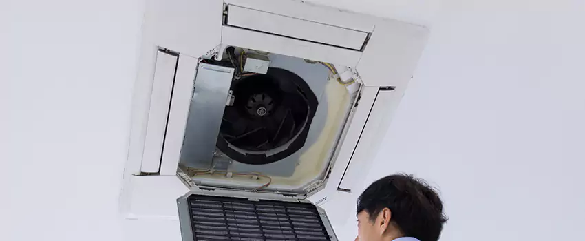 Benefits of Professional Air Duct Cleaning in Burlington, Kentucky