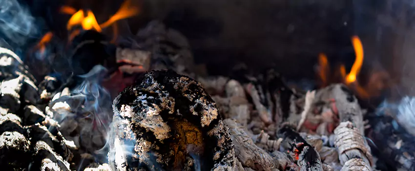 Creosote Removal Experts in Burlington, KY