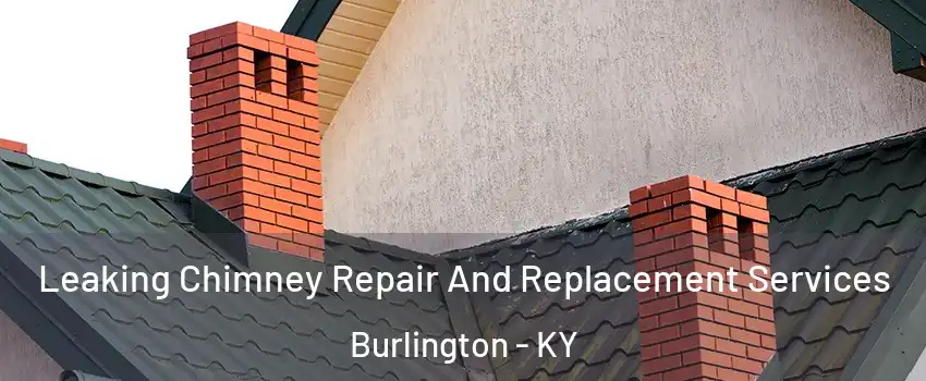 Leaking Chimney Repair And Replacement Services Burlington - KY