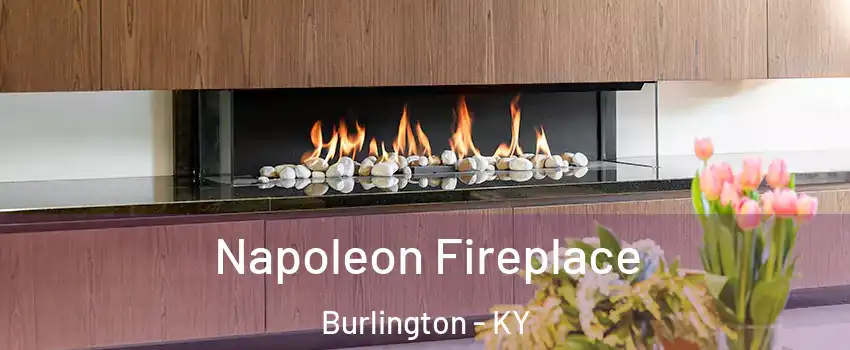  Napoleon Fireplace Burlington - KY