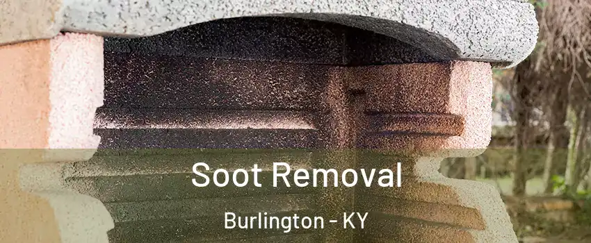  Soot Removal Burlington - KY